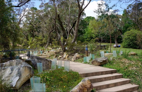 Wentworth Falls Picnic Area - Australia Accommodation 0
