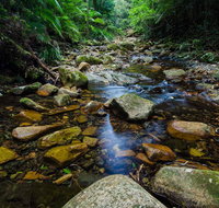 Willi Willi National Park - Australia Accommodation