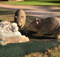 Wombat Statues Moonta - Australia Accommodation