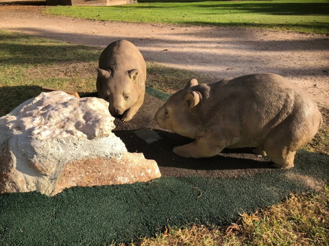 Wombat Statues, Moonta - Australia Accommodation 0