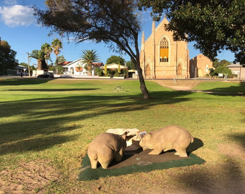 Wombat Statues, Moonta - Australia Accommodation 2