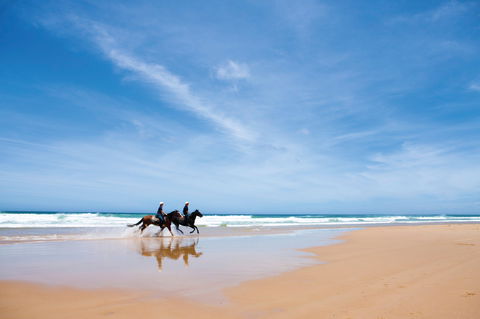 Worimi National Park - Australia Accommodation 2