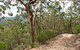 Yango Walking Track - thumb 0