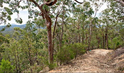 Yango Walking Track - Australia Accommodation 0