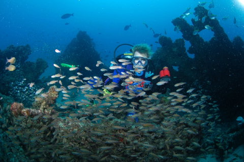 Aarhus Dive Site - Australia Accommodation 0