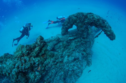 Aarhus Dive Site - Australia Accommodation 1