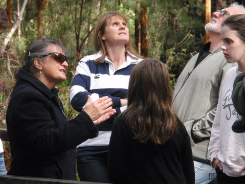 Ancient Empire Walk, Valley Of The Giants - Australia Accommodation 1