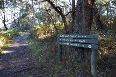Arthurs Seat To Kings Falls Walk - Australia Accommodation 0