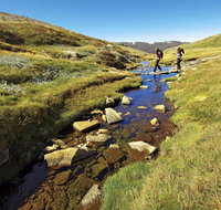 Australian Alps Walking Track - Australia Accommodation