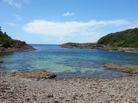 Bass Point Reserve - Australia Accommodation 0