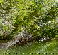 Berry Springs Nature Park - Australia Accommodation