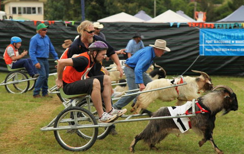 Comboyne - Australia Accommodation 0