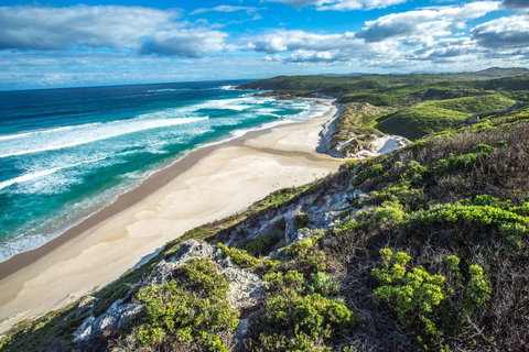 Conspicuous Cliff - Australia Accommodation 0