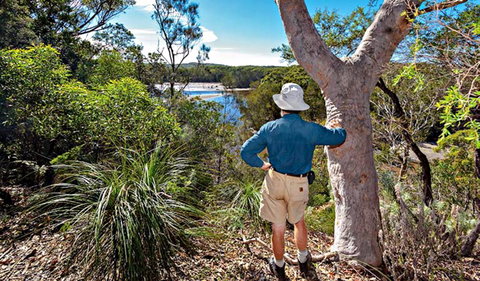 Corkwood And Scribbly Gum Walking Track - Australia Accommodation 0