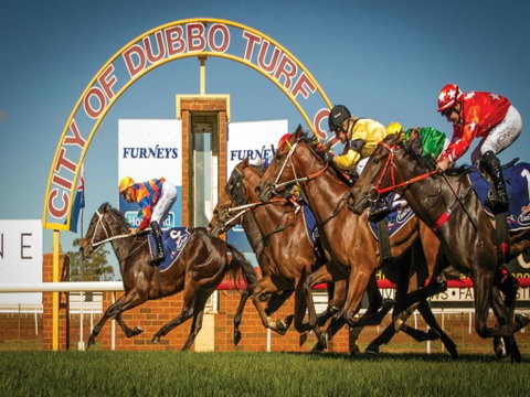 Dubbo Turf Club - Open With Races But No Spectators - Australia Accommodation 0