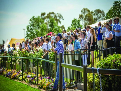 Dubbo Turf Club - Open With Races But No Spectators - Australia Accommodation 1