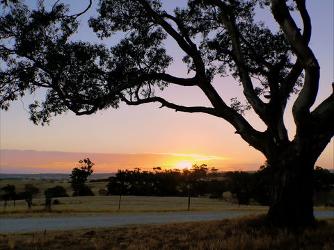 Eden Valley Lookout - Australia Accommodation 0