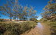 Freshwater Creek Track, Byfield National Park - thumb 0