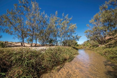 Freshwater Creek Track, Byfield National Park - Australia Accommodation 0