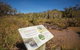 Freshwater Creek Track, Byfield National Park - thumb 1