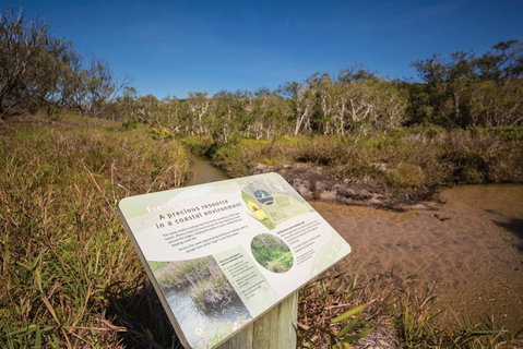 Freshwater Creek Track, Byfield National Park - Australia Accommodation 1