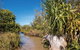 Freshwater Creek Track, Byfield National Park - thumb 2
