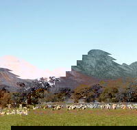 Grampians - Australia Accommodation