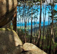 Gulaga Mountain Walk - Australia Accommodation