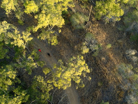 Hillview Drive Reserve - Australia Accommodation 2