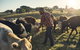 Hinterland Full Day Self Drive Tour - thumb 0