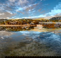 Lashmar Conservation Park - Australia Accommodation