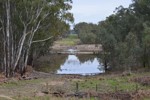 Lawson Syphon - Australia Accommodation 1