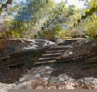 Mooney Mooney nature walk - Australia Accommodation