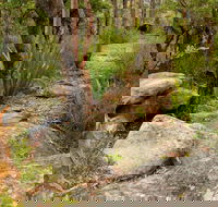 Mount Olive Trail - Australia Accommodation