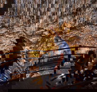 Ngilgi Cave - Australia Accommodation