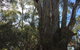 Northern Beaches - thumb 0