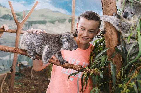 Oakvale Wildlife Park - Australia Accommodation 0