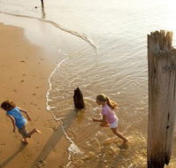 Phillip Island - Australia Accommodation