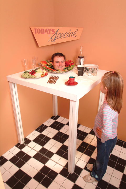 Phillip Island Experience - Australia Accommodation 0