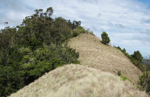 Pieries Peak Walking Track - Australia Accommodation 0