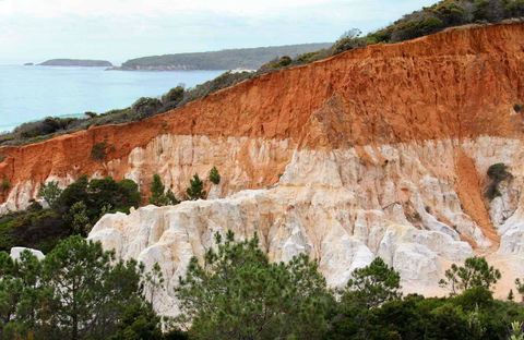 Pinnacles Loop Walking Track - Australia Accommodation 0
