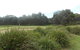 Shoalhaven Heads Golf Club - thumb 0
