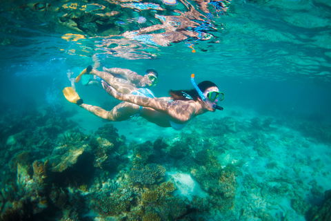 Snorkel The Ningaloo Reef - Australia Accommodation 1