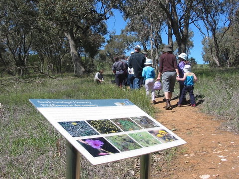 South Gundagai Woodlands Walk - Australia Accommodation 0