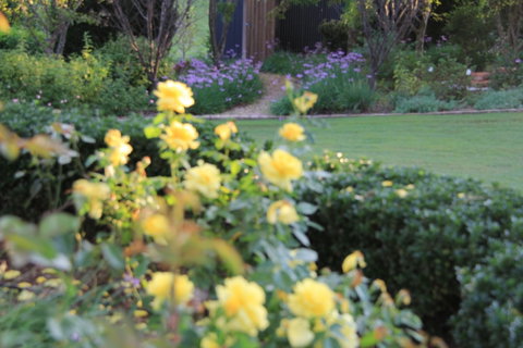 The Bath House Garden - Australia Accommodation 1