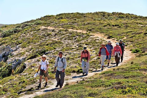 The Sole Walk At Hillocks Drive - Australia Accommodation 0