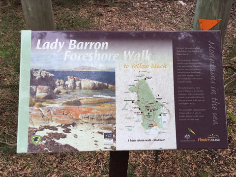 The Lady Barron Foreshore Walk - Australia Accommodation 0