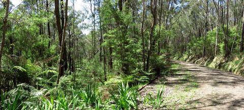 Tyers Park - Australia Accommodation 0