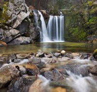 Upper Crystal Creek - Australia Accommodation