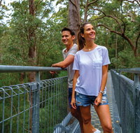 Valley of the Giants Tree Top Walk - Australia Accommodation